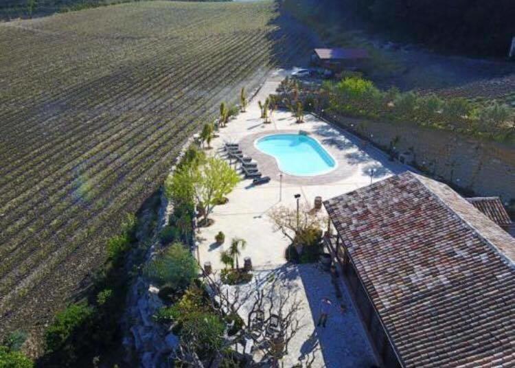 קלטפימי Agriturismo Tenute Pispisa Segesta מראה חיצוני תמונה