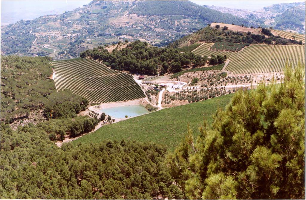 קלטפימי Agriturismo Tenute Pispisa Segesta מראה חיצוני תמונה