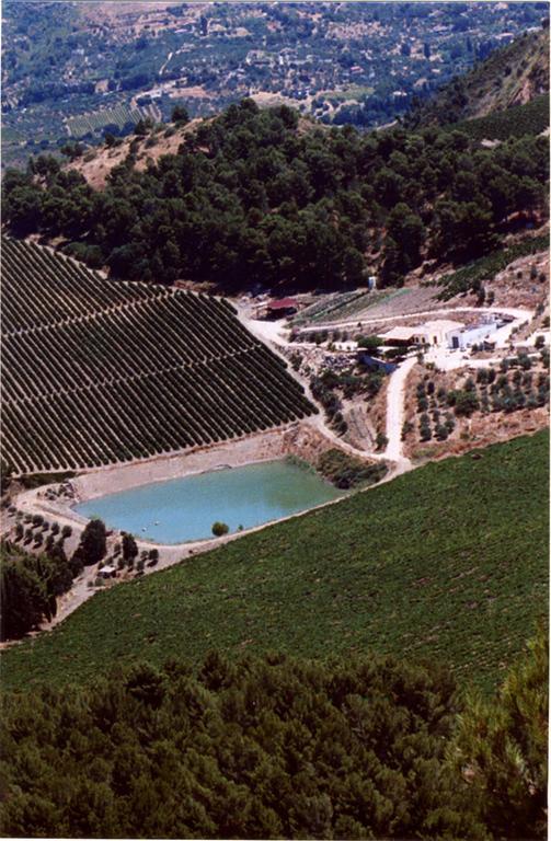 קלטפימי Agriturismo Tenute Pispisa Segesta מראה חיצוני תמונה