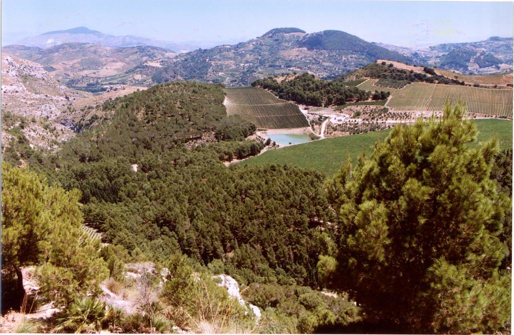 קלטפימי Agriturismo Tenute Pispisa Segesta מראה חיצוני תמונה