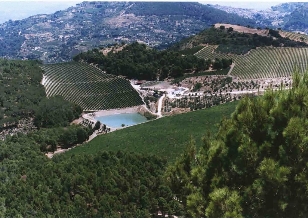 קלטפימי Agriturismo Tenute Pispisa Segesta מראה חיצוני תמונה