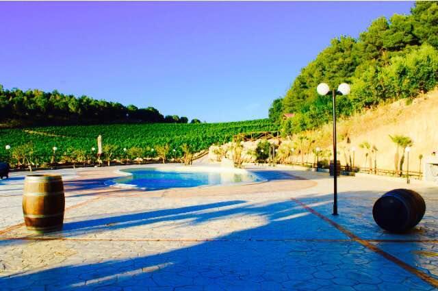 קלטפימי Agriturismo Tenute Pispisa Segesta מראה חיצוני תמונה